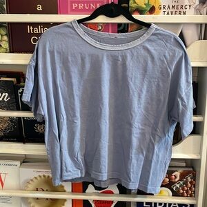 EUC Distressed Cropped Tshirt